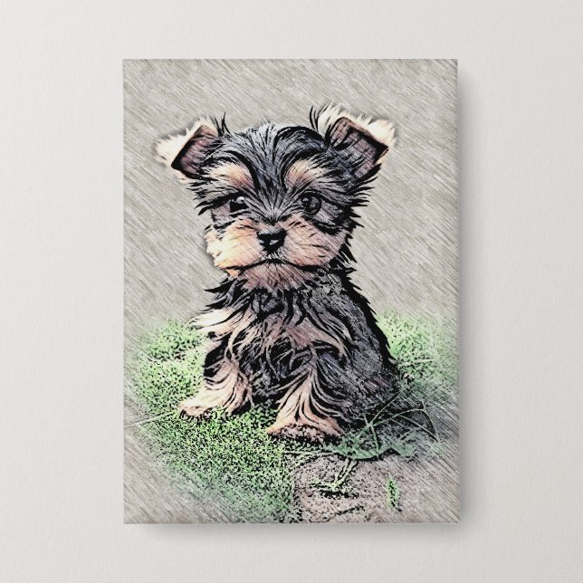 Yorkie, Puppy,pet (Front)