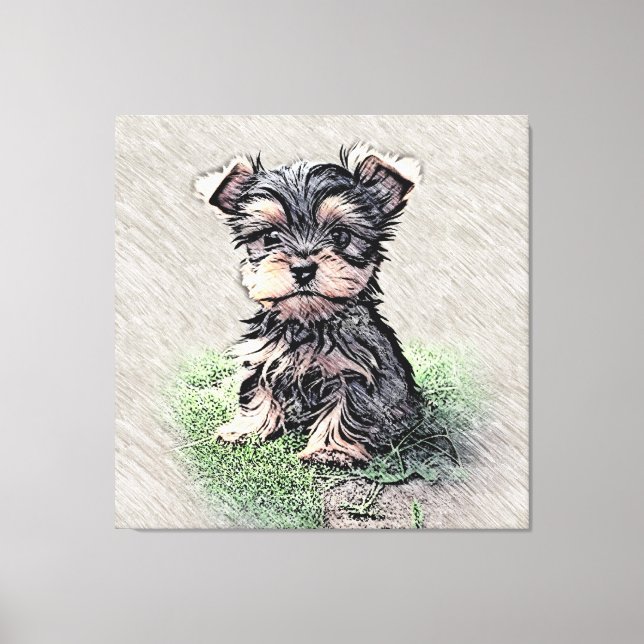 Yorkie, Puppy,pet Canvas Print (Front)