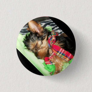 Yorkie Snuggle 1 Inch Round Button