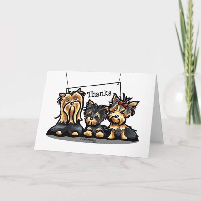 Yorkie Trio Merci (Devant)