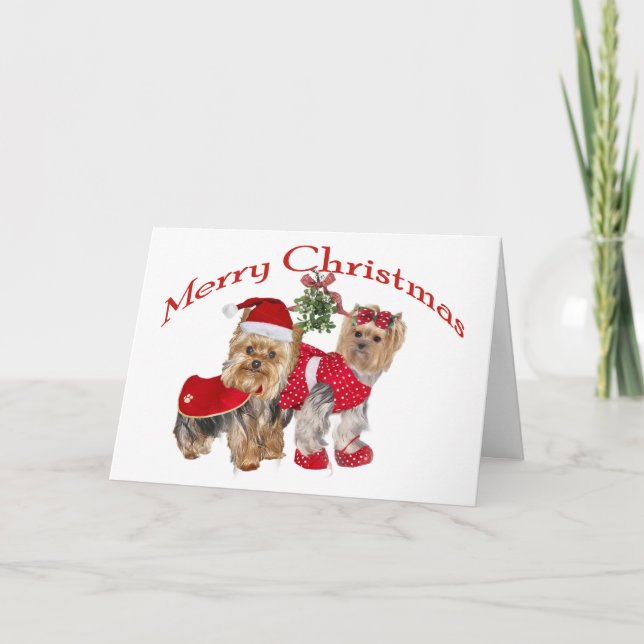 Yorkie two Merry Christmas Holiday Card (Front)