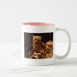 Yorkie Two-Tone Coffee Mug