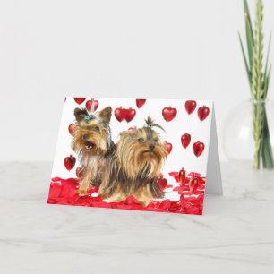 Yorkie Valentine Card