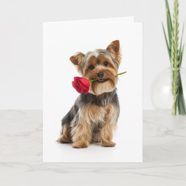 Yorkie Valentine – Tiny Dog, Big Love Card (Front)