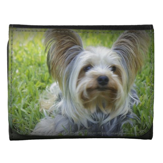 Yorkie Wallets