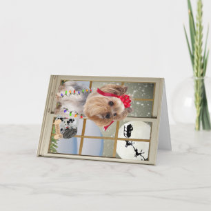 Yorkie Watches For Santa Holiday Card