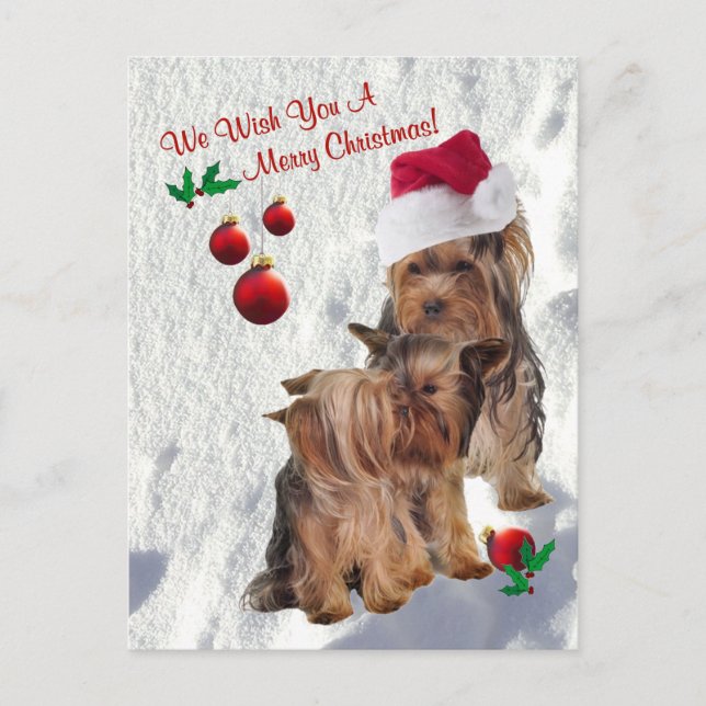 Yorkie We Wish You A Merry Christmas Postcard 2 (Front)