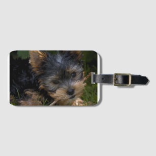 yorkie with stick luggage tag