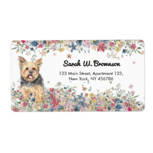Yorkie Yorkshire Home