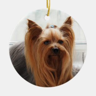 Yorkie Yorkshire Terrier Dog Ceramic Ornament