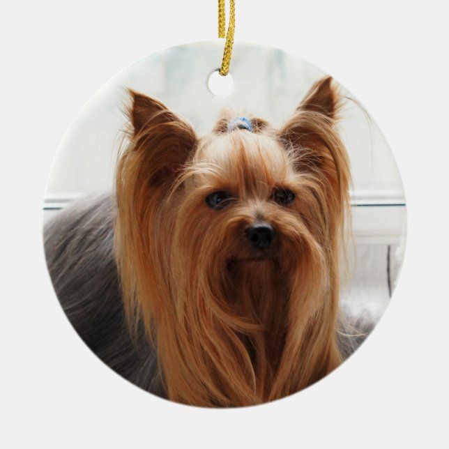 Yorkie Yorkshire Terrier Dog Ceramic Ornament (Front)