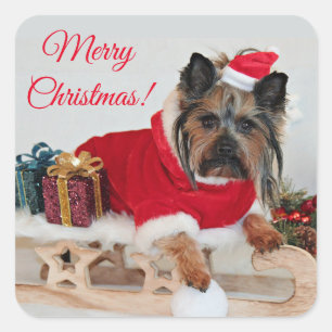 Yorkie Yorkshire Terrier Dog - Christmas Santa Hat Square Sticker