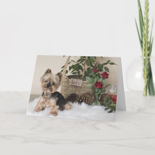 Yorkie (Yorkshire Terrier) Valentine's Card (Front)