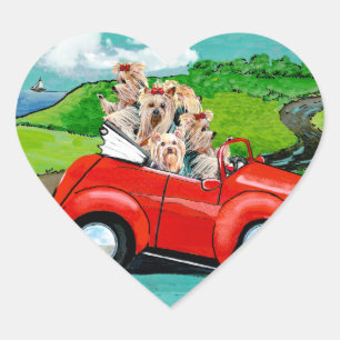 Yorkies in Red Convertible Stickers