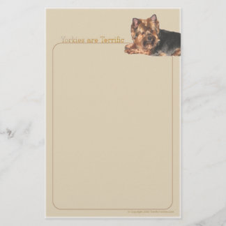 Yorkies sont papeterie terrible