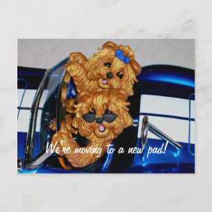 Yorkies~ We're moving to a new pad! Postcards