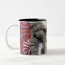 Yorkipoo café tasse