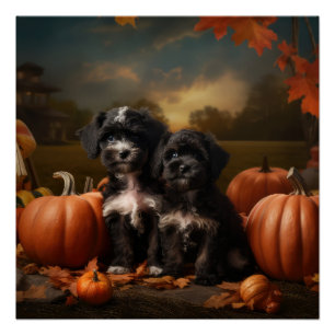 Yorkipoo Puppy Autumn Delight Pumpkin Poster