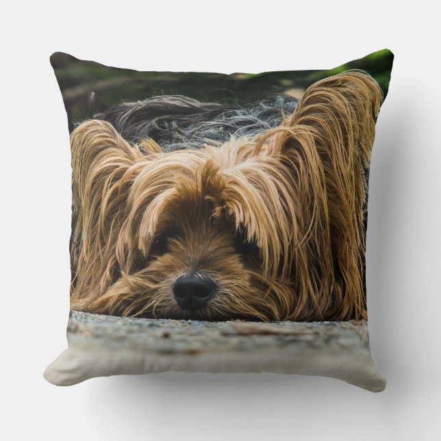 Yorkshire Closeup Throw Pillow (Front)