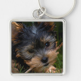 Yorkshire Keychain