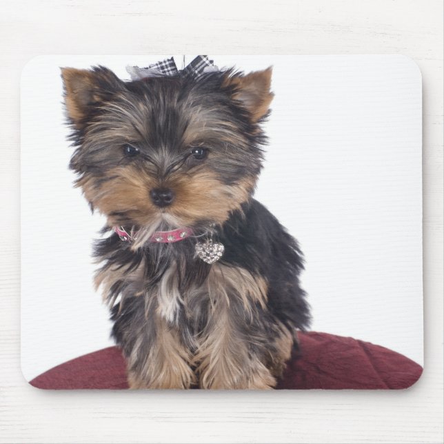 yorkshire mouse pad (Front)