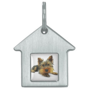 Yorkshire Pet ID Tag