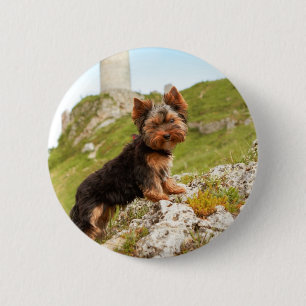Yorkshire Terrier 2 Inch Round Button