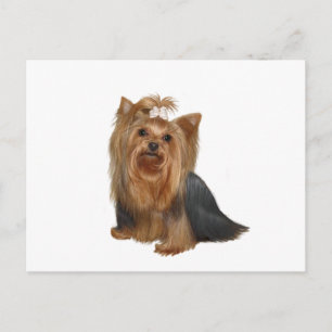 Yorkshire Terrier (7) Postcard