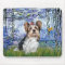 Yorkshire Terrier (Biewer) - Lilies 6