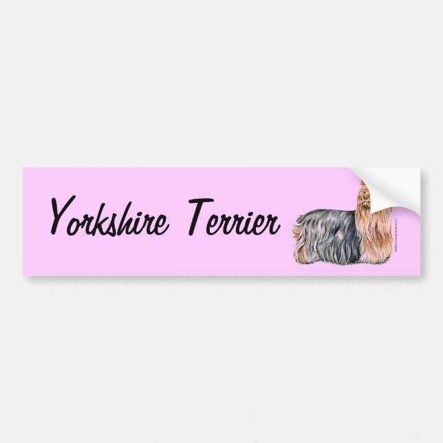 Yorkshire Terrier Bumper Sticker (Front)