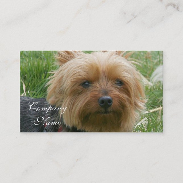 Yorkshire Terrier Business Cards (Front)