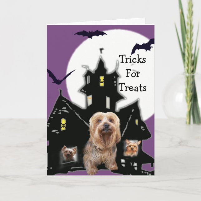 Yorkshire Terrier Carte de voeux Halloween (Devant)