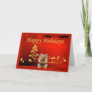 Yorkshire Terrier Cartes de Noël Étoiles