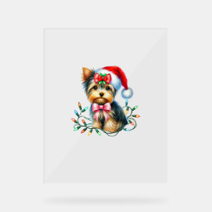 Yorkshire Terrier Chien avec Coquette Bow Noël