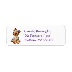 Yorkshire Terrier Chien Chien Chien Chien Cote Yor