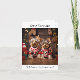 Yorkshire Terrier Chiens de Noël Carte