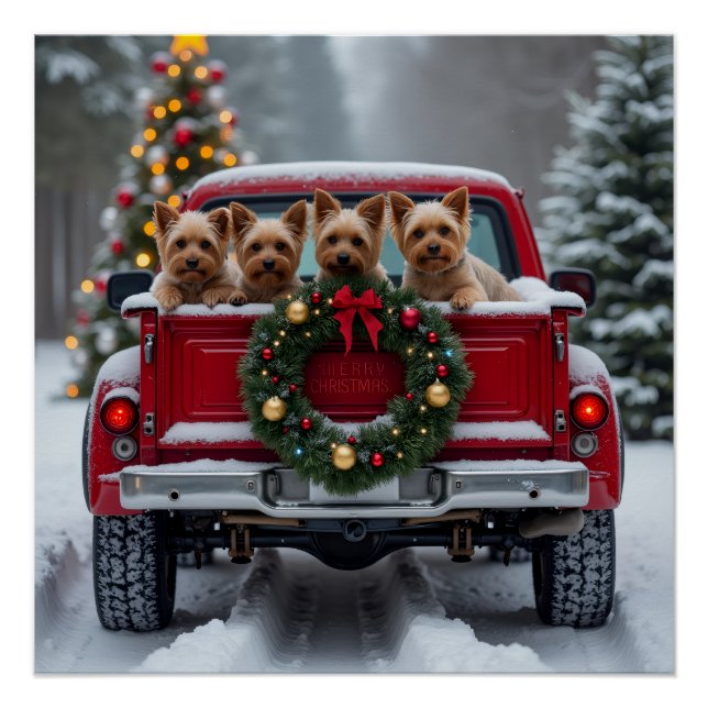 Yorkshire Terrier Christmas Red Truck Holiday Gift Poster (Front)
