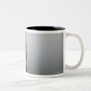 Yorkshire terrier, close-up Two-Tone coffee mug