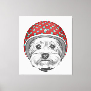 Yorkshire Terrier Daredevil Canvas Print