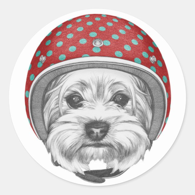 Yorkshire Terrier Daredevil Classic Round Sticker (Front)