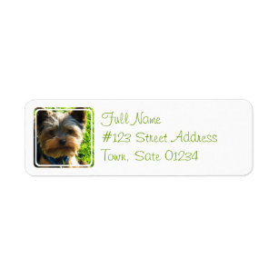 Yorkshire Terrier Dog Adresse de retour Label
