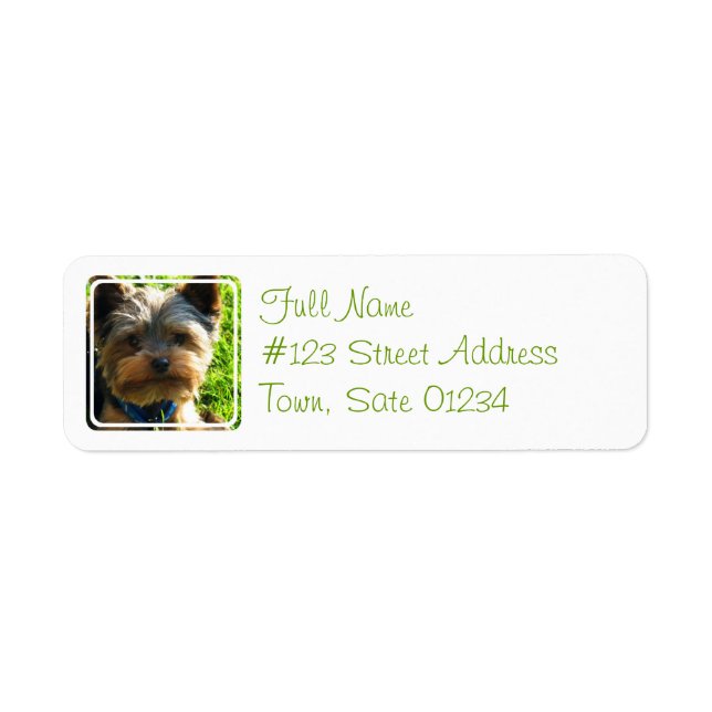Yorkshire Terrier Dog Adresse de retour Label (Devant)