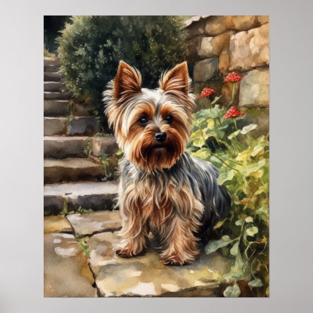 Yorkshire Terrier Dog Art Imprimer Poster (Devant)