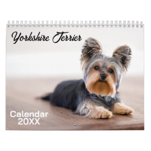 Yorkshire Terrier Dog Calendar 2026