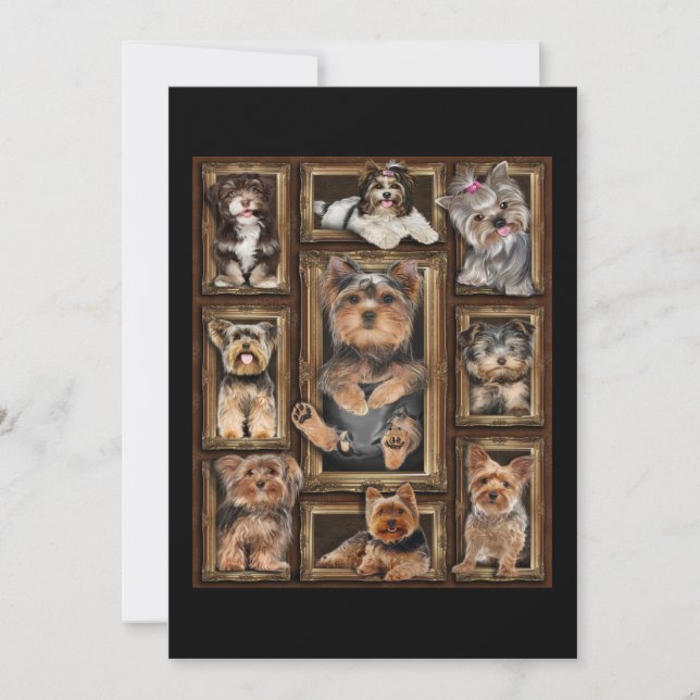 Yorkshire Terrier Dog Cute Yorkshire Terrier Lover Card (Front)