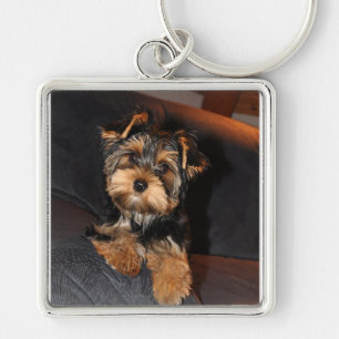 Yorkshire Terrier Dog Keychain