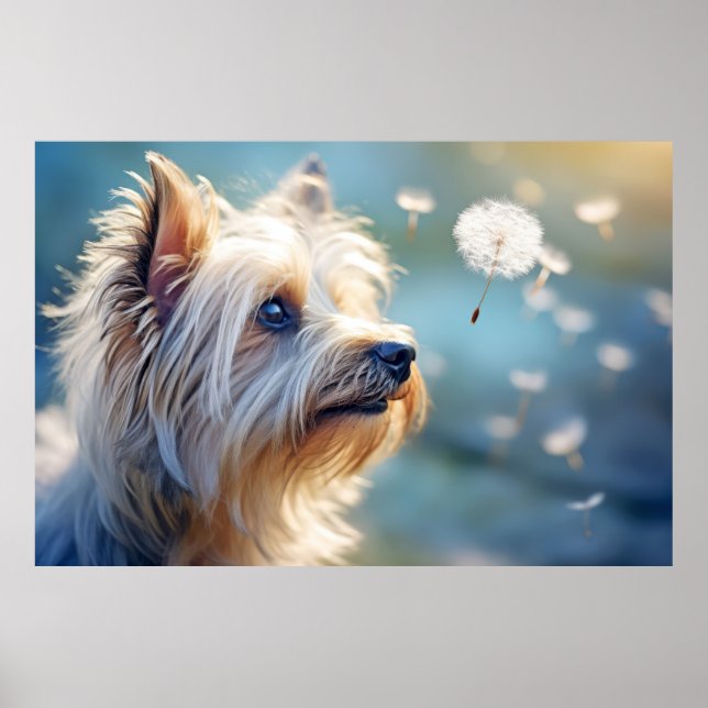 Yorkshire Terrier Dog Pet Animal  Poster (Front)