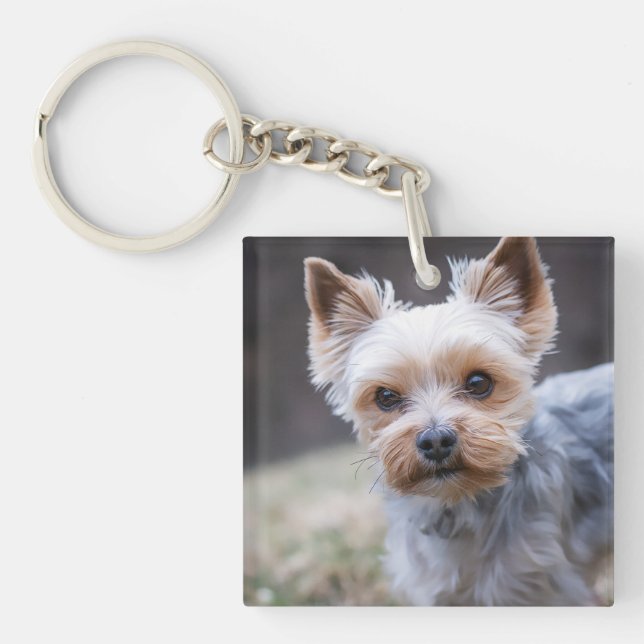 Yorkshire terrier, Dog, Pet Keychain (Front)