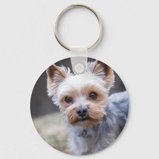 Yorkshire terrier, Dog, Pet Keychain (Front)