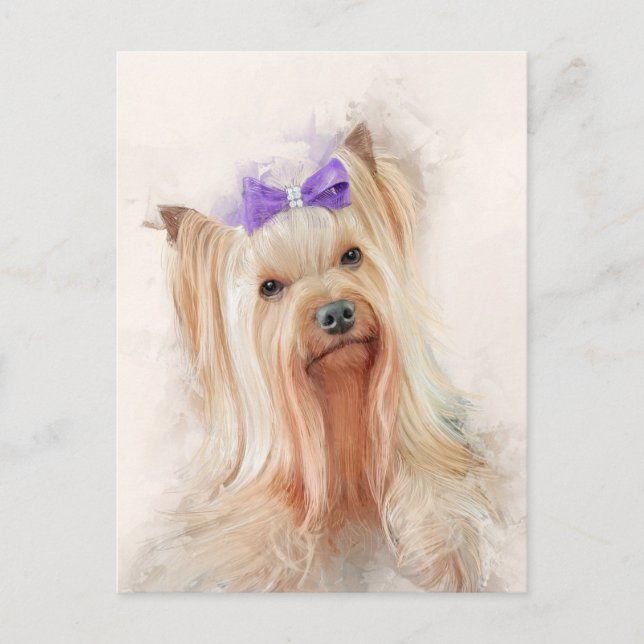 Yorkshire Terrier Dog Portrait Postcard (Front)